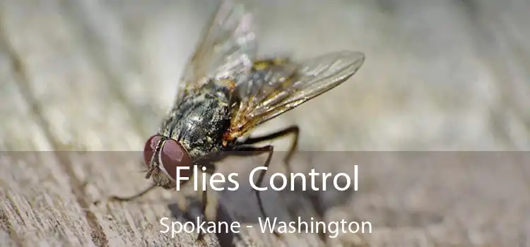 Flies Control Spokane - Washington