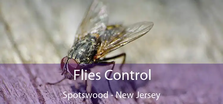 Flies Control Spotswood - New Jersey