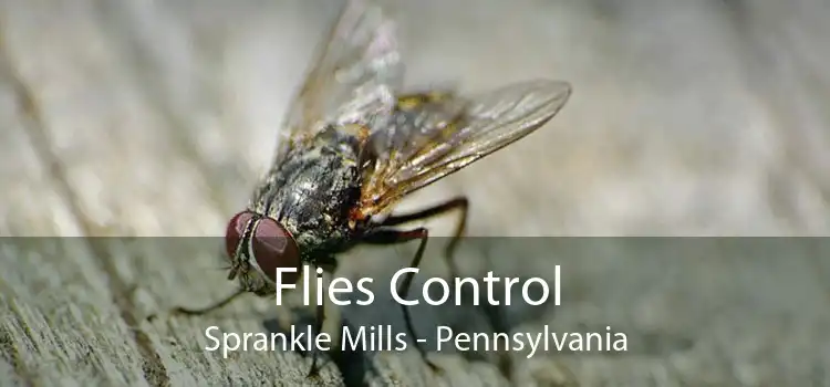 Flies Control Sprankle Mills - Pennsylvania