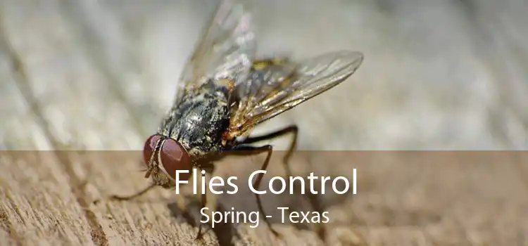 Flies Control Spring - Texas