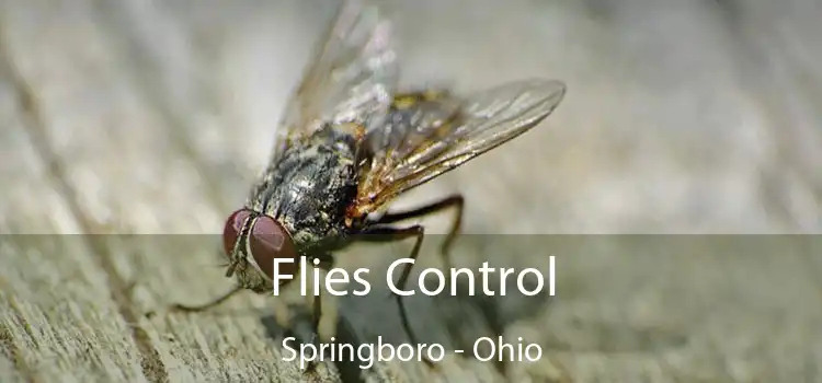 Flies Control Springboro - Ohio