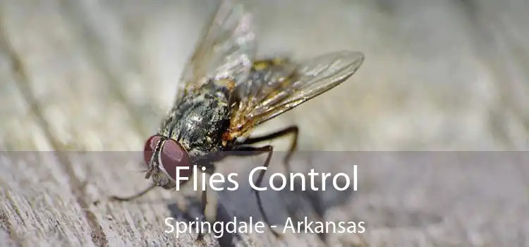 Flies Control Springdale - Arkansas