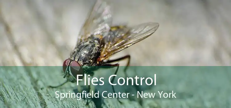 Flies Control Springfield Center - New York