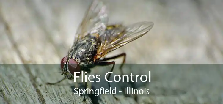 Flies Control Springfield - Illinois