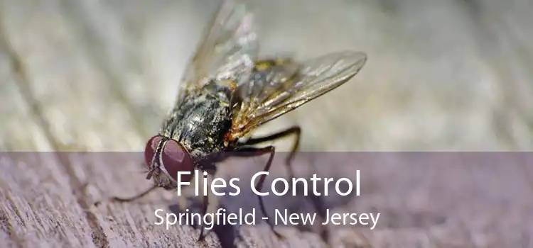 Flies Control Springfield - New Jersey