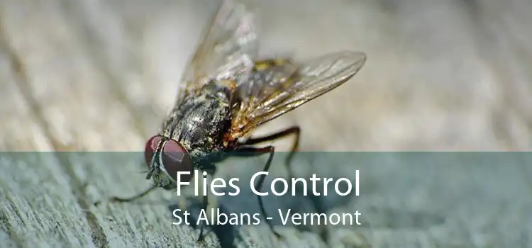 Flies Control St Albans - Vermont
