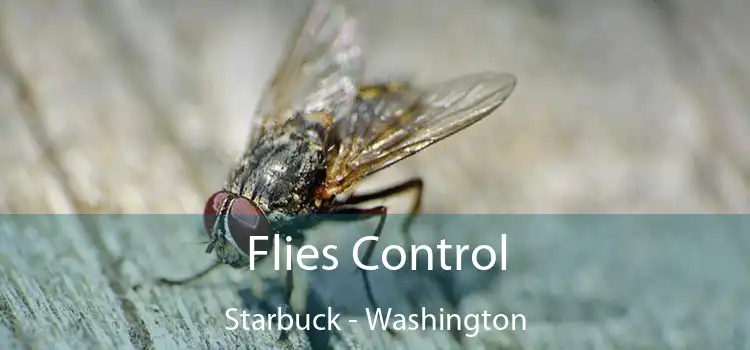 Flies Control Starbuck - Washington