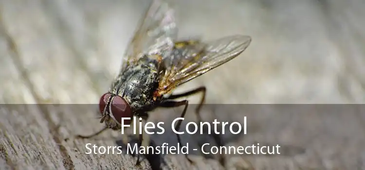 Flies Control Storrs Mansfield - Connecticut