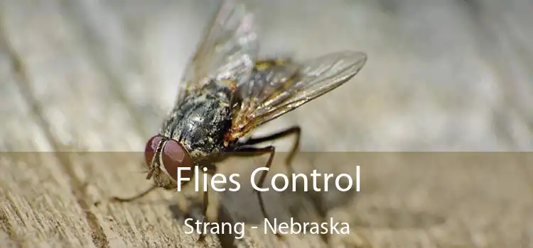 Flies Control Strang - Nebraska