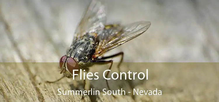 Flies Control Summerlin South - Nevada