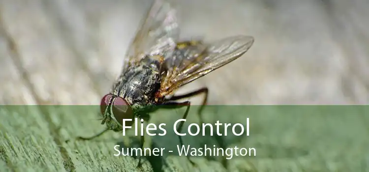 Flies Control Sumner - Washington