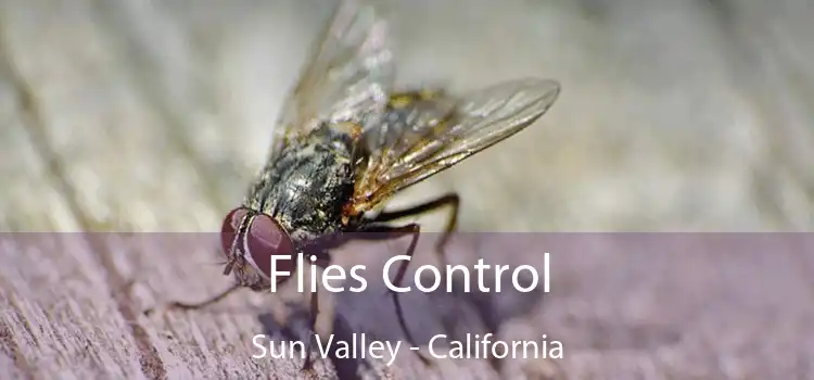 Flies Control Sun Valley - California