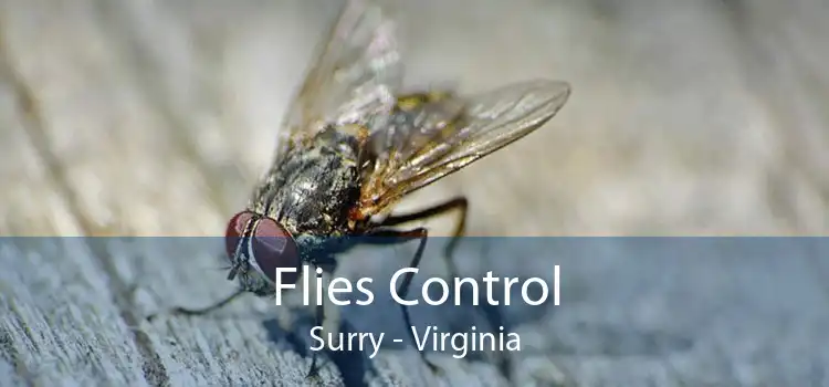 Flies Control Surry - Virginia