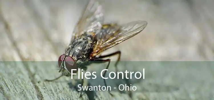 Flies Control Swanton - Ohio