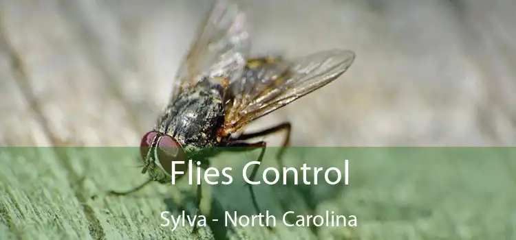 Flies Control Sylva - North Carolina