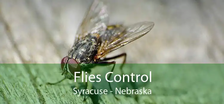 Flies Control Syracuse - Nebraska