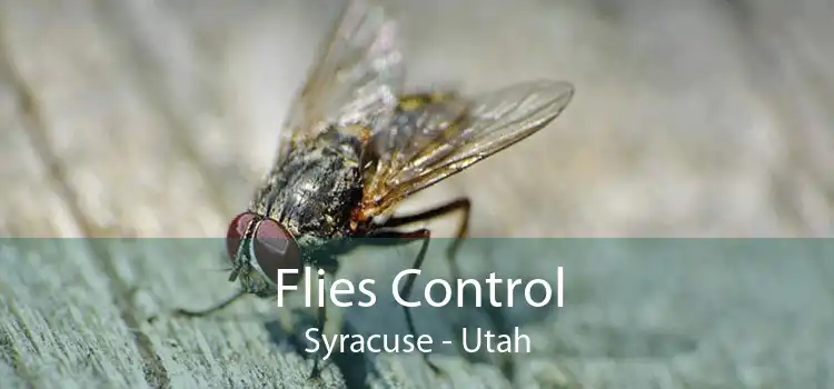 Flies Control Syracuse - Utah