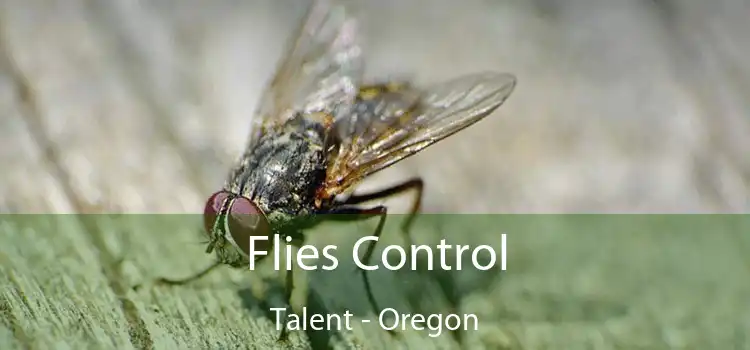 Flies Control Talent - Oregon