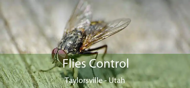 Flies Control Taylorsville - Utah