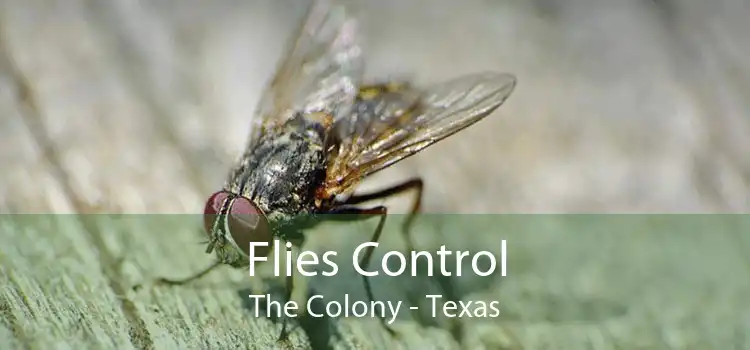 Flies Control The Colony - Texas