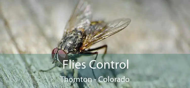 Flies Control Thornton - Colorado