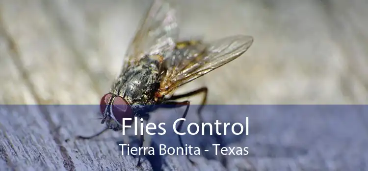 Flies Control Tierra Bonita - Texas
