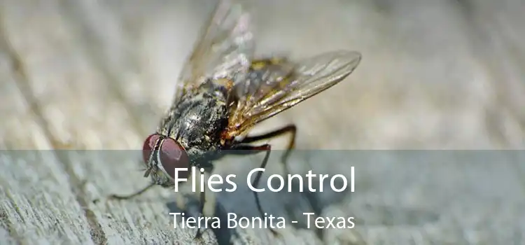 Flies Control Tierra Bonita - Texas