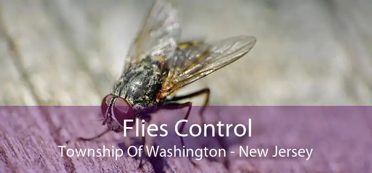 Flies Control Township Of Washington - New Jersey