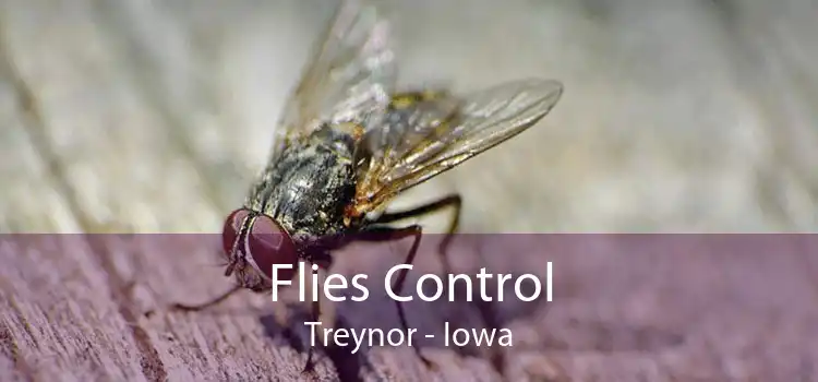 Flies Control Treynor - Iowa