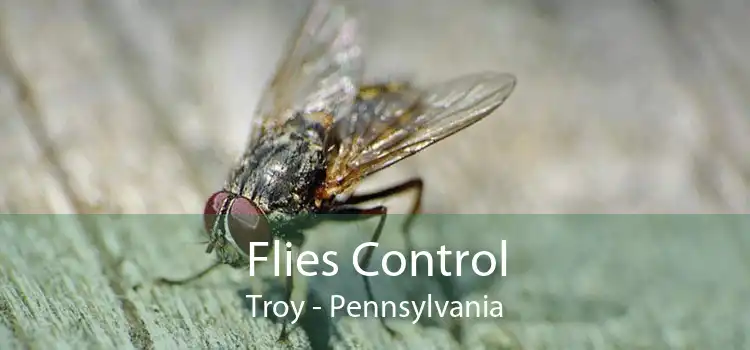 Flies Control Troy - Pennsylvania