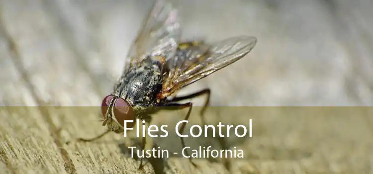 Flies Control Tustin - California