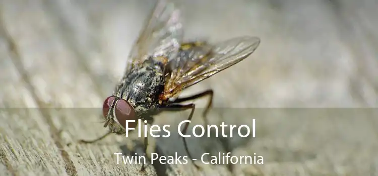 Flies Control Twin Peaks - California