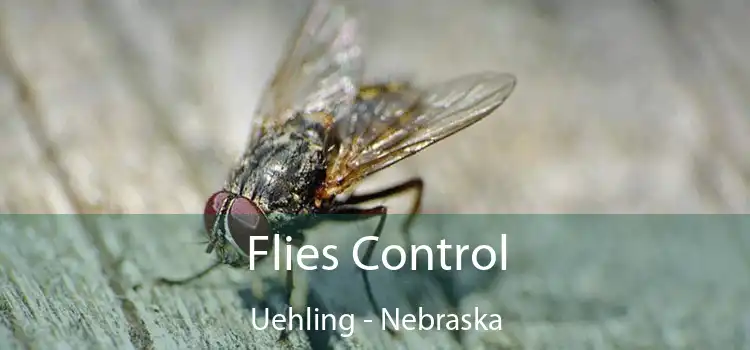 Flies Control Uehling - Nebraska