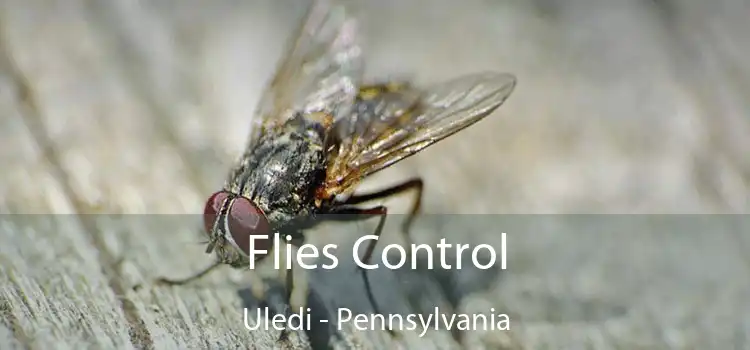 Flies Control Uledi - Pennsylvania