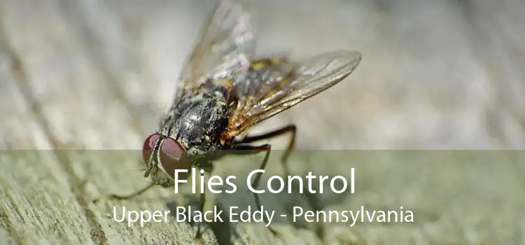 Flies Control Upper Black Eddy - Pennsylvania