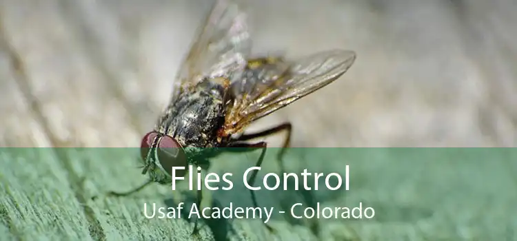 Flies Control Usaf Academy - Colorado
