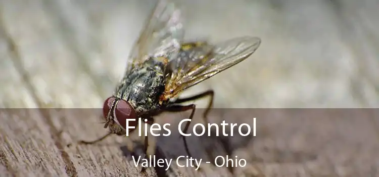 Flies Control Valley City - Ohio