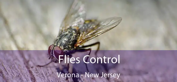 Flies Control Verona - New Jersey