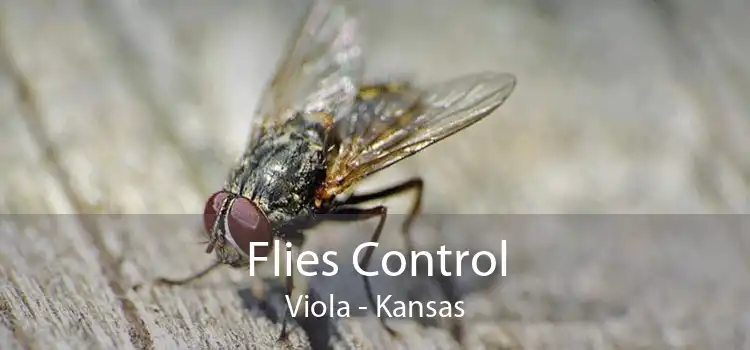 Flies Control Viola - Kansas