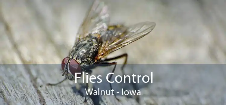 Flies Control Walnut - Iowa