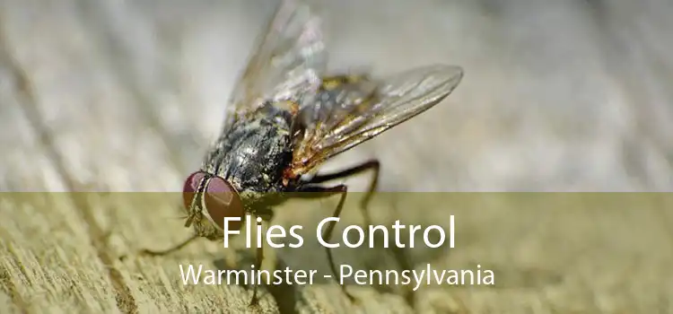 Flies Control Warminster - Pennsylvania