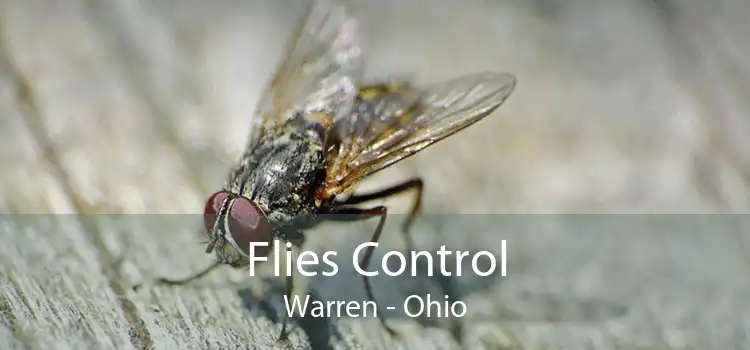 Flies Control Warren - Ohio