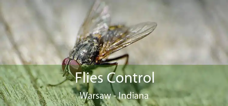 Flies Control Warsaw - Indiana