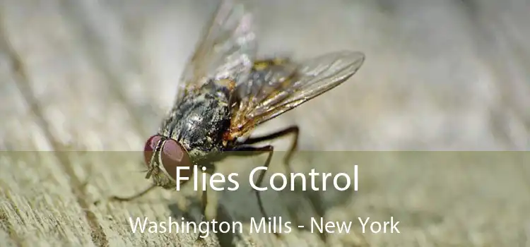Flies Control Washington Mills - New York
