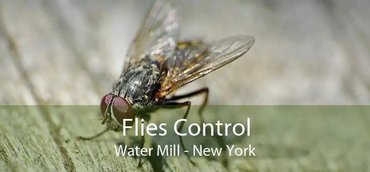 Flies Control Water Mill - New York