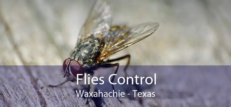 Flies Control Waxahachie - Texas