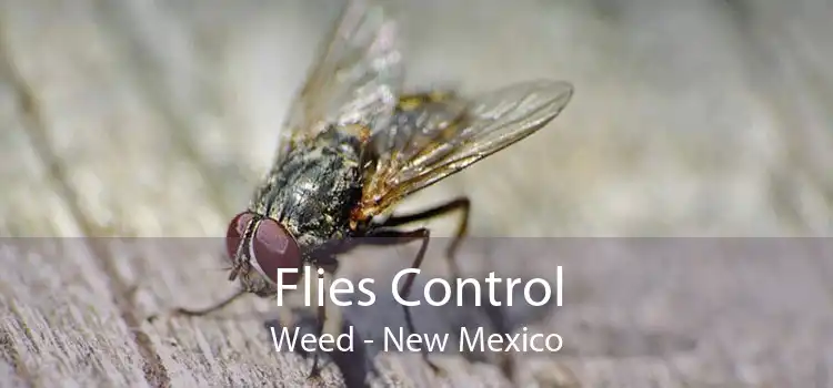 Flies Control Weed - New Mexico