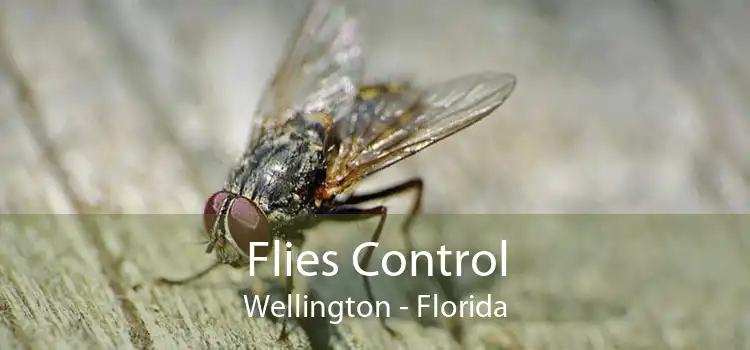 Flies Control Wellington - Florida