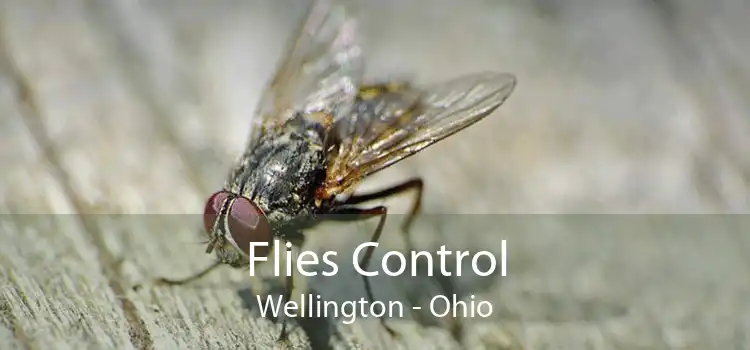 Flies Control Wellington - Ohio