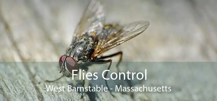 Flies Control West Barnstable - Massachusetts